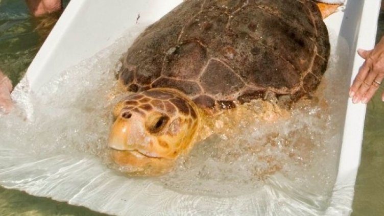 Снимка: Reuters