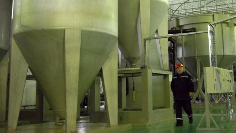 Снимка: Архив Булфото