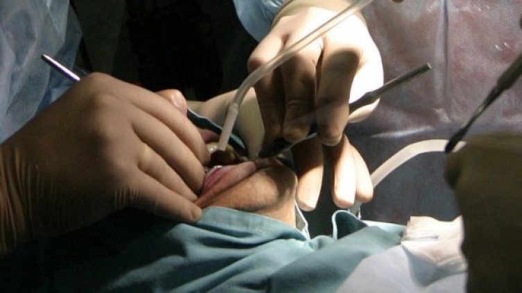 Снимка: Архив Булфото