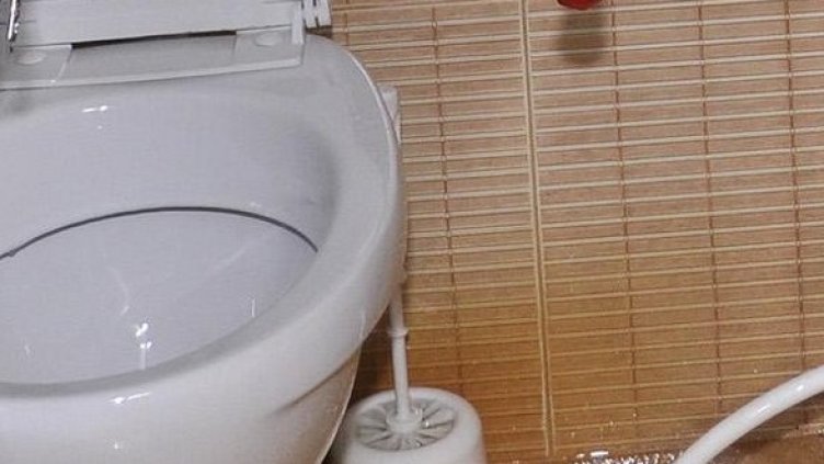 Снимка: Булфото