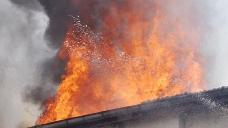 Снимка: архив Булфото