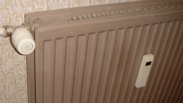 Снимка: Булфото