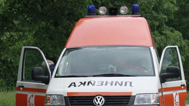 Снимка: Архив, Булфото