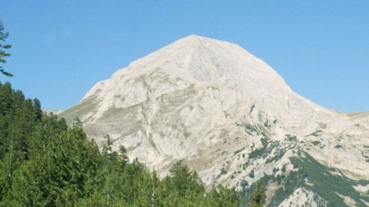 Снимка: архив Булфото