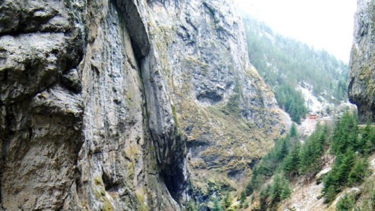 Снимка: Архив, Булфото