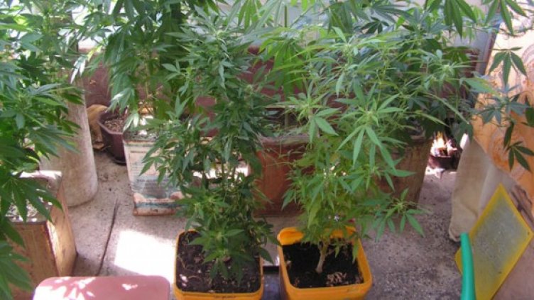 Снимка: Архив, МВР