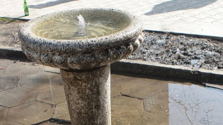 Снимка: архив Булфото