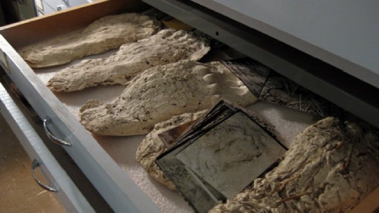 Снимка: mysterycasebook.com