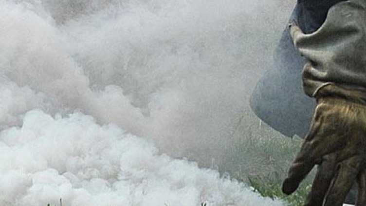 Снимка: Архив, Булфото