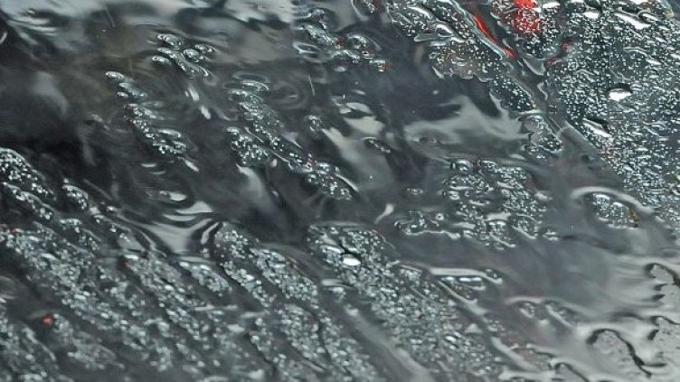 Снимка: архив Булфото