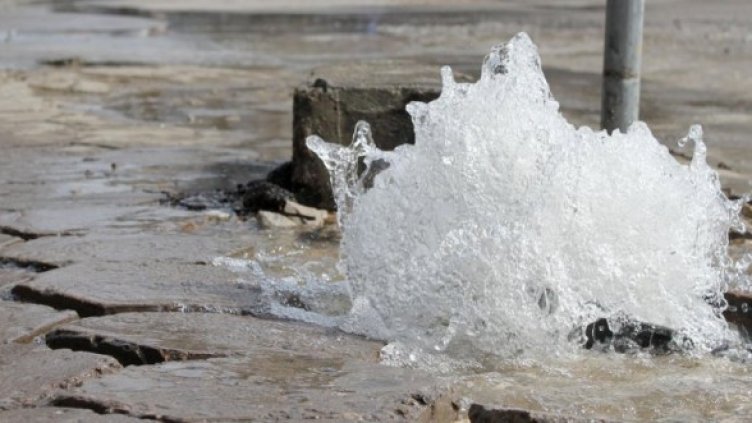 Снимка: Архив, Булфото