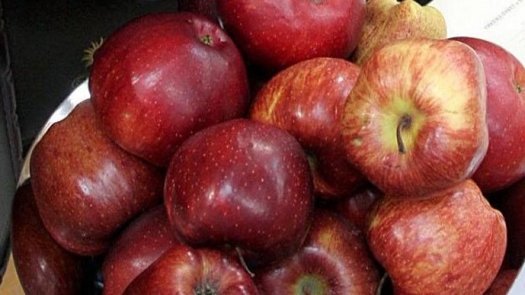 Снимка: архив, Булфото