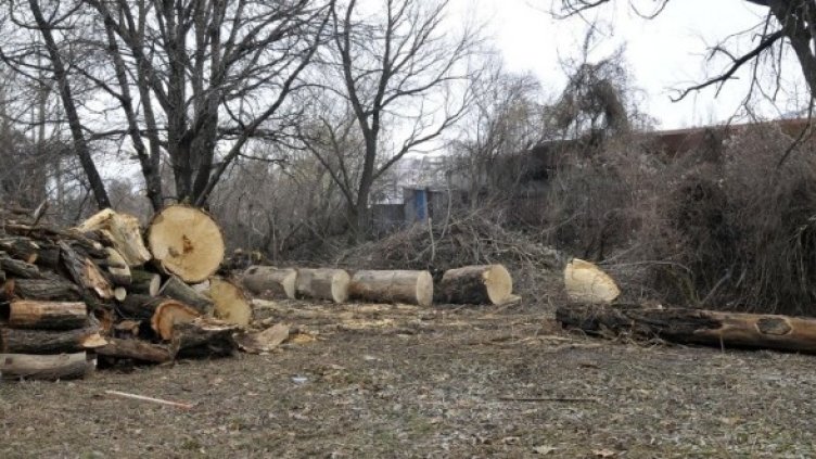 Снимка: архив, Булфото