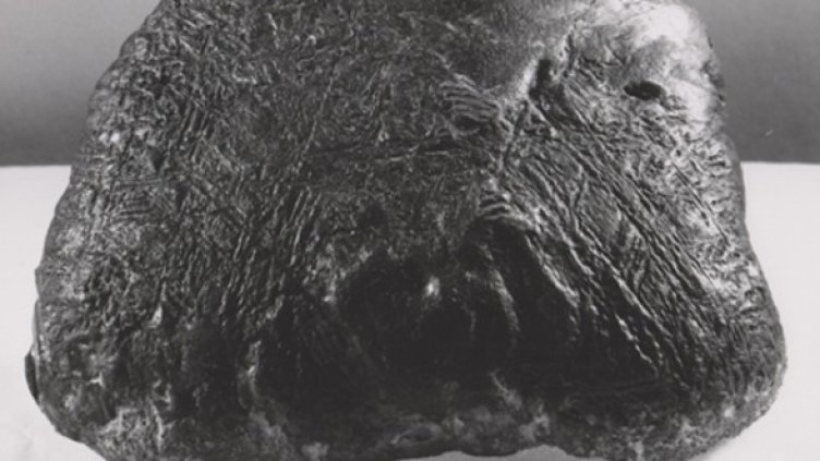 Изображение:  Smithsonian Institution