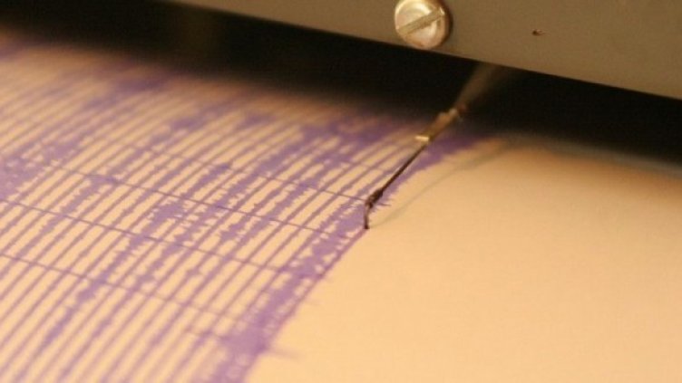 Снимка: архив