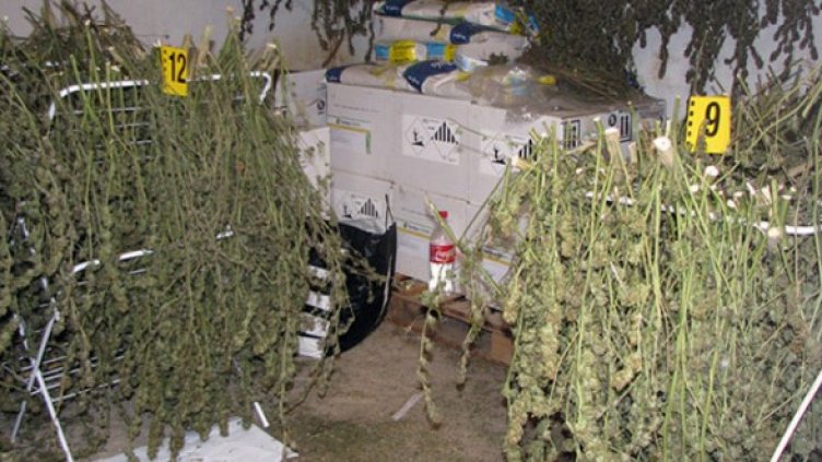 Снимка: МВР