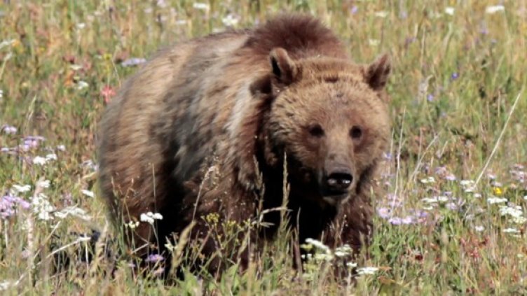 Снимка: Архив, Reuters