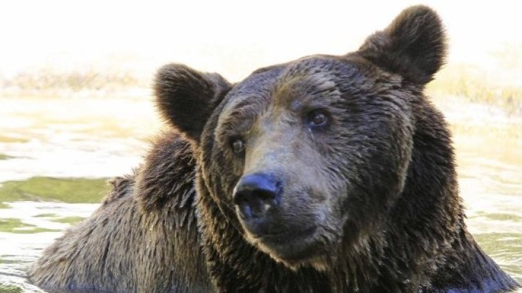 Снимка:  Булфото