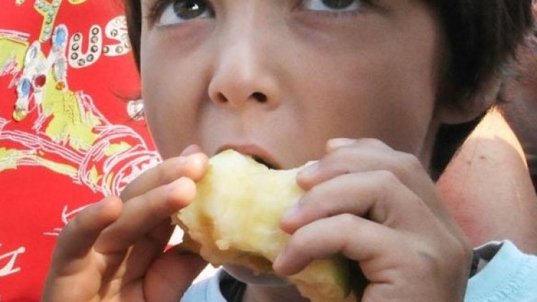 Снимка: архив, Булфото