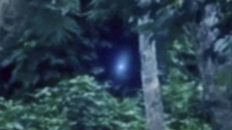 Снимка: Mike Cohen / Вarcroft USA
Снимка: Mike Cohen / Вarcroft USA
Снимка: Mike Cohen / Вarcroft USA