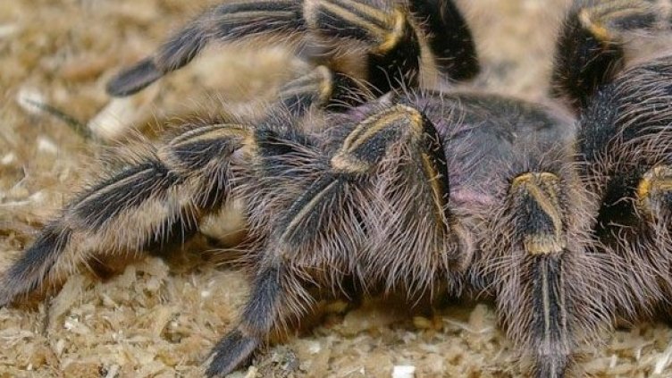 Снимка: архив, Булфото