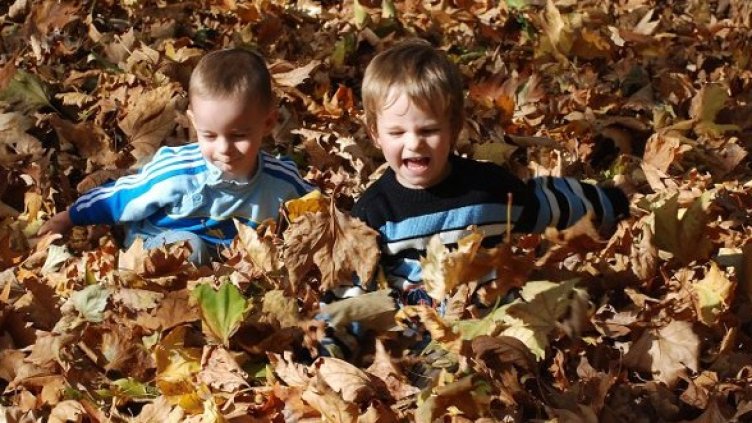 Снимка: архив, Булфото