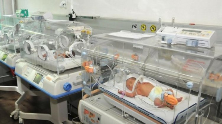 Снимка: Архив, Булфото