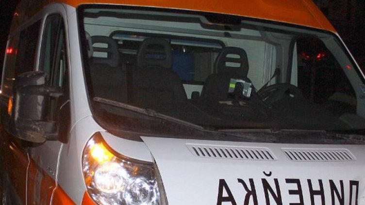 Снимка: Архив, Булфото