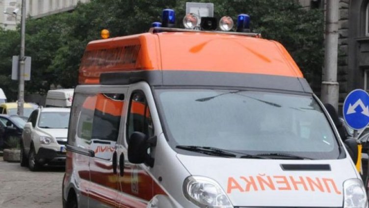 Снимка: Булфото