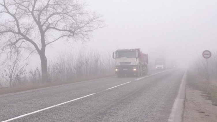 Снимка: Архив Булфото