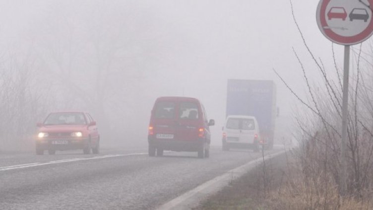 Снимка: Архив Булфото