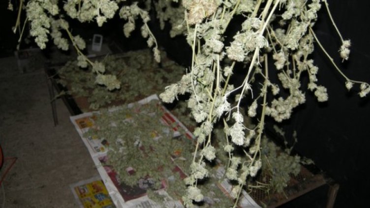 Снимка: МВР