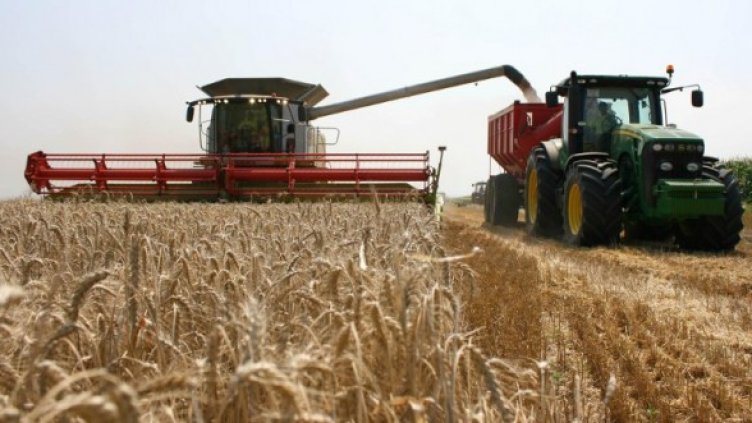 Снимка: Булфото