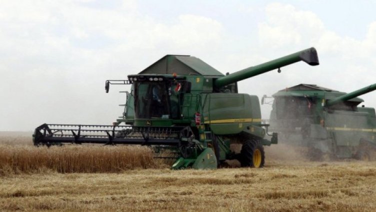 Снимка: архив Булфото