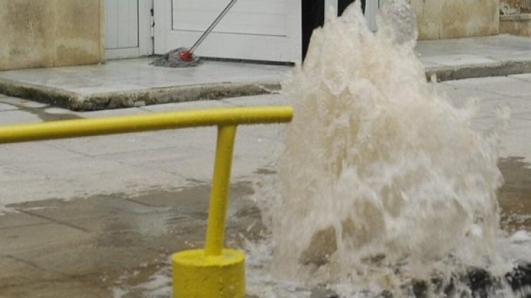 Снимка: архив Булфото