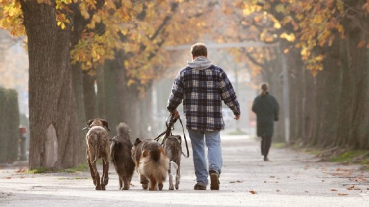 Снимка: архив, Reuters