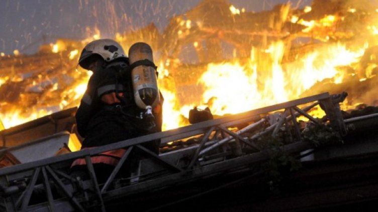 Снимка: Архив Булфото