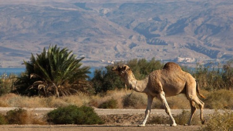 Снимка: Архив Reuters