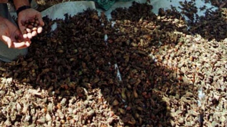 Снимка: архив, Reuters