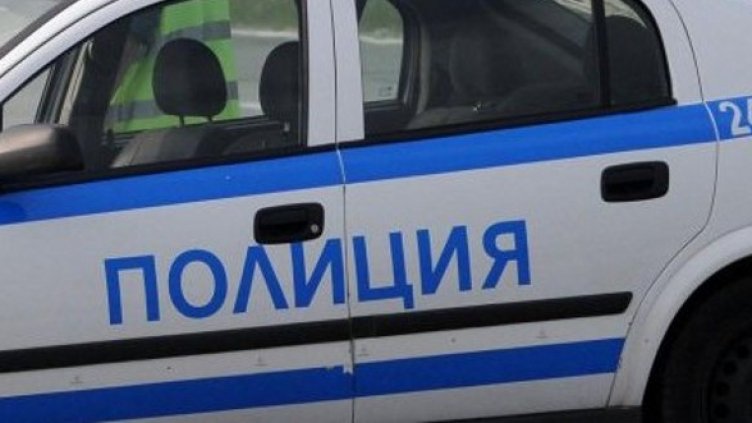 Снимка: Архив Булфото