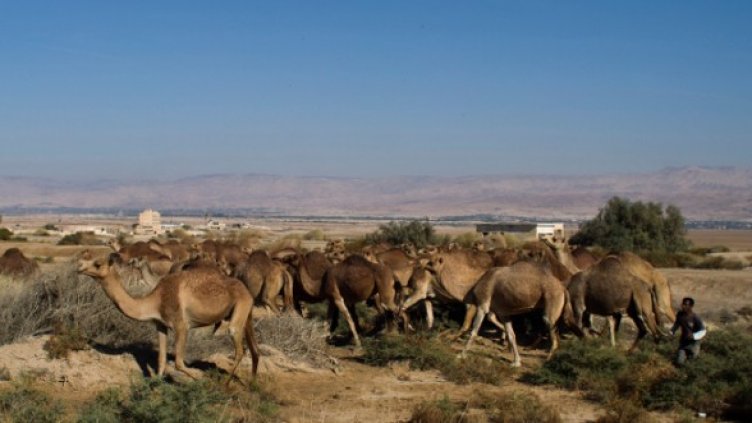 Снимка: Архив Reuters