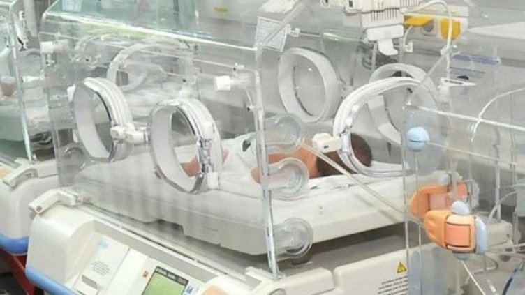 Снимка: архив, Булфото