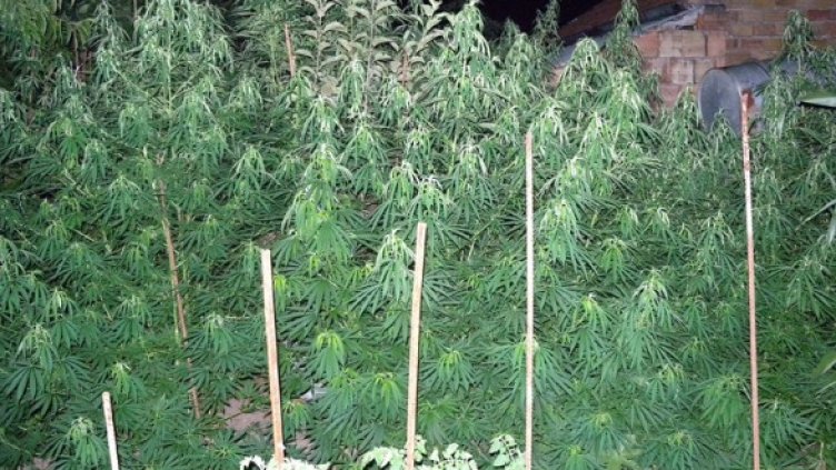 Снимка: архив, МВР