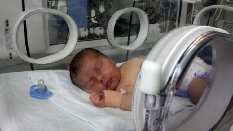 Снимка: Impact Press Group