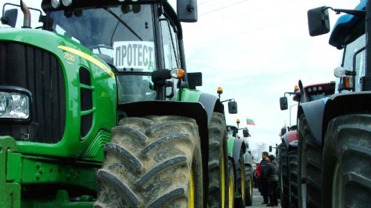 Снимка: Булфото