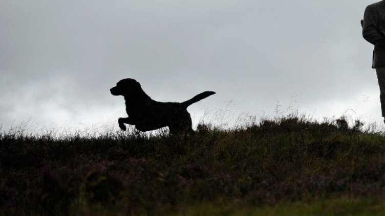 Снимка: Архив Reuters