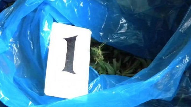 Снимка: Булфото