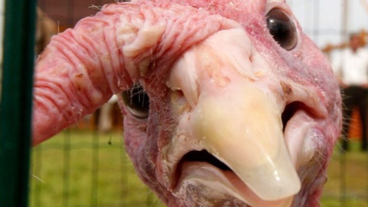 Снимка: архив, Reuters