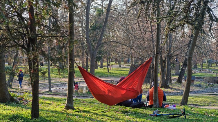 Снимка БГНЕС