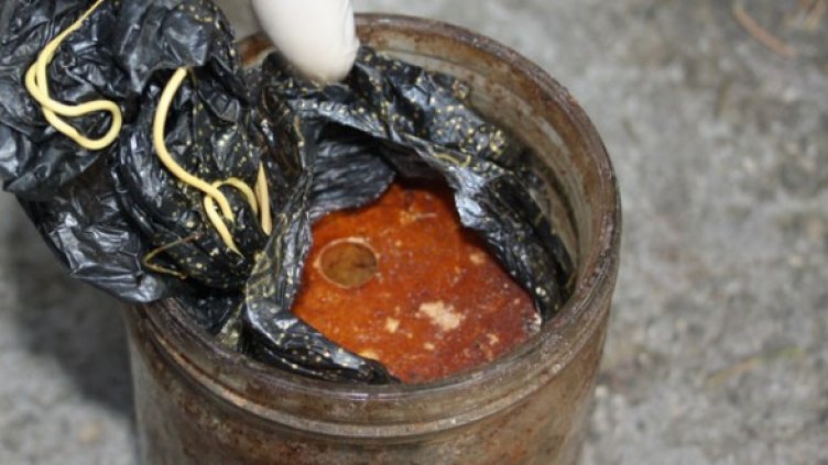 Снимка: МВР